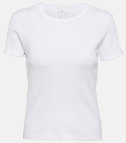 Brenny ribbed-knit cotton jersey T-shirt - Velvet - Modalova