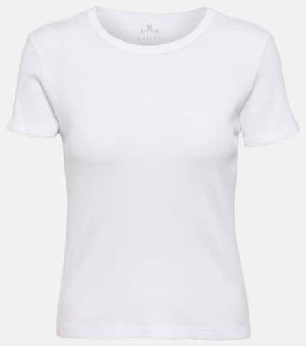 T-Shirt Brenny aus Baumwoll-Jersey - Velvet - Modalova