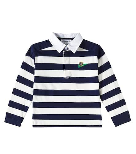 Edman striped cotton polo sweater - Bonpoint - Modalova