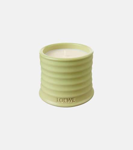 Vela Cucumber pequeña - Loewe Home Scents - Modalova