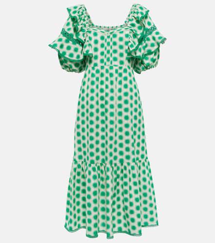 Oliver lace trimmed cotton midi dress - Diane von Furstenberg - Modalova