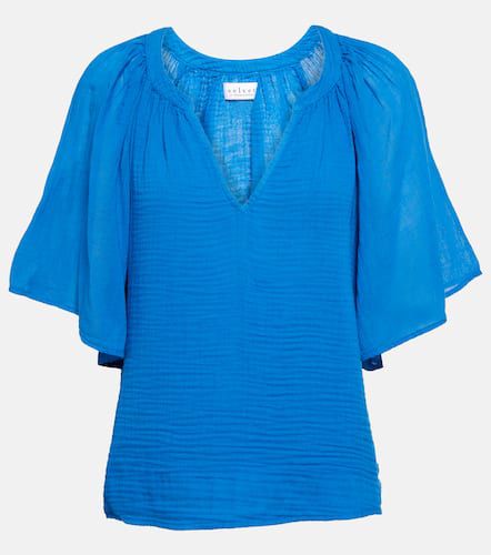 Velvet Top Belle in cotone - Velvet - Modalova