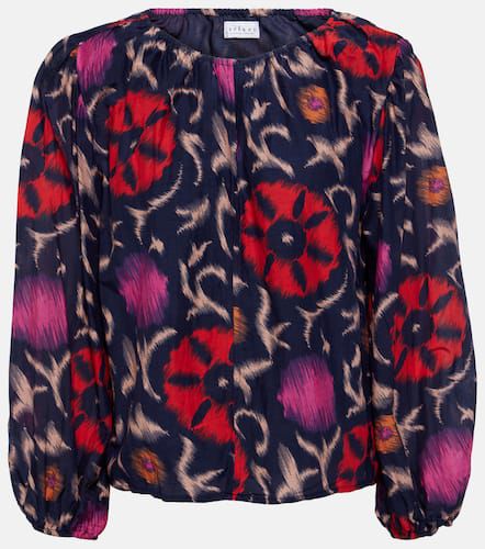 Fraser printed cotton and silk blouse - Velvet - Modalova