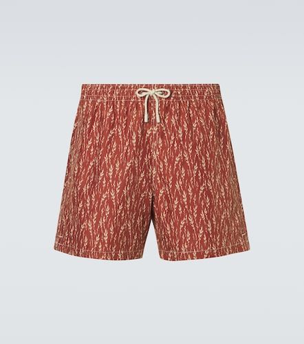 Canali Printed swim trunks - Canali - Modalova