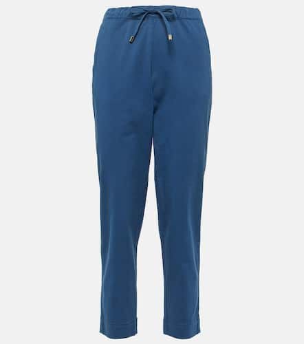 Terreno cotton cropped pants - Max Mara - Modalova