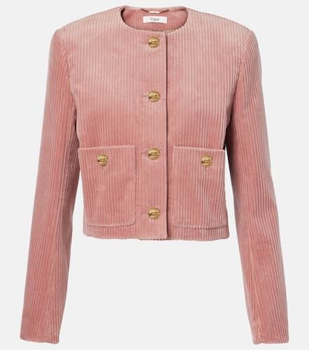 ChloÃ© Cotton velvet corduroy jacket - Chloe - Modalova