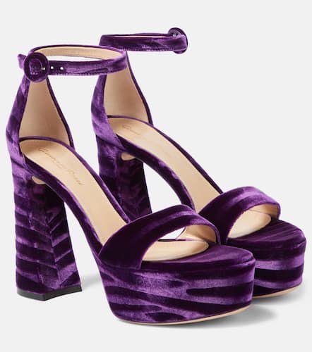 Holly velvet platform sandals - Gianvito Rossi - Modalova