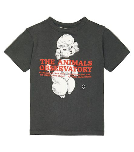 Camiseta Rooster de algodón estampada - The Animals Observatory - Modalova