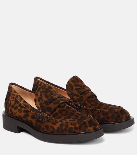 Harris leopard-print suede loafers - Gianvito Rossi - Modalova