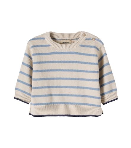 Baby Pullover Morgan aus Baumwolle - Wheat - Modalova
