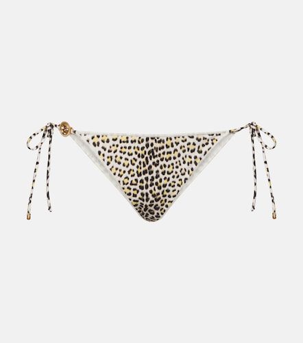 Braga de bikini estampada - Roberto Cavalli - Modalova
