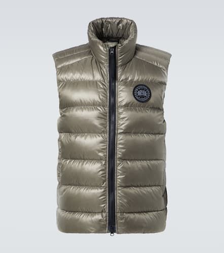 Black Label chaleco de plumas Crofton - Canada Goose - Modalova