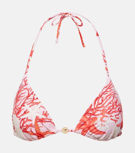 Versace Printed bikini top - Versace - Modalova