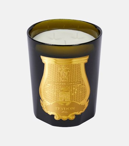 Trudon Vela Abd El Kader Intermezzo - Trudon - Modalova