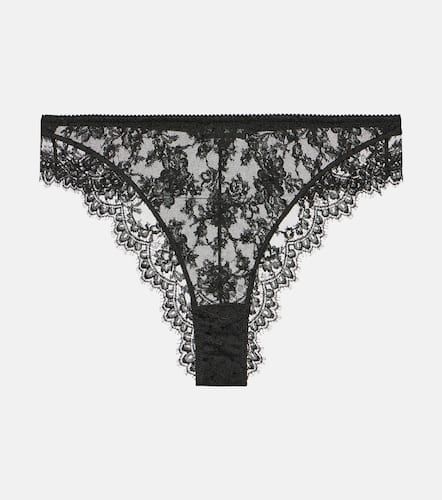 Floral cotton-blend lace briefs - Dolce&Gabbana - Modalova