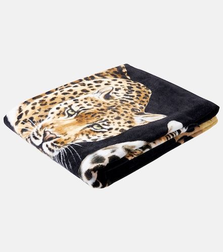 Telo mare Leopardo in cotone - Dolce&Gabbana Casa - Modalova