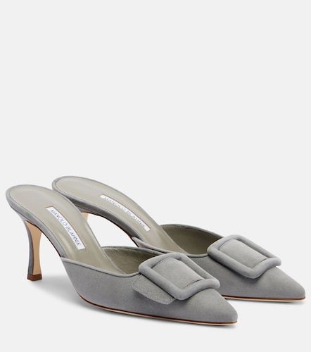 Mules Maysale 70 in suede - Manolo Blahnik - Modalova