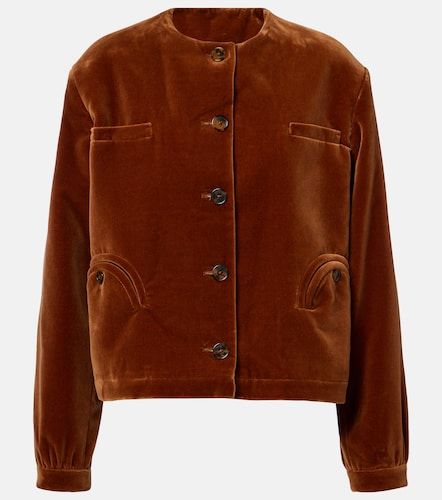 Blazé Milano Chaqueta Gliss de terciopelo de algodón - Blaze Milano - Modalova