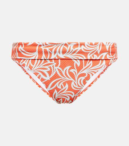 Coral Gardens bikini bottoms - Heidi Klein - Modalova