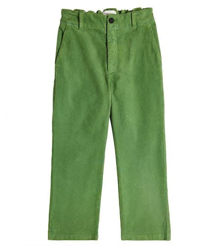 Morley Cotton pants - Morley - Modalova