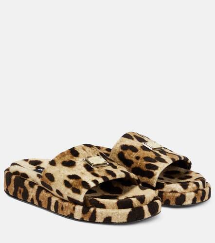 Palas de terry de leopardo con logo - Dolce&Gabbana - Modalova