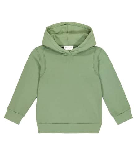 Morley Rowan cotton hoodie - Morley - Modalova