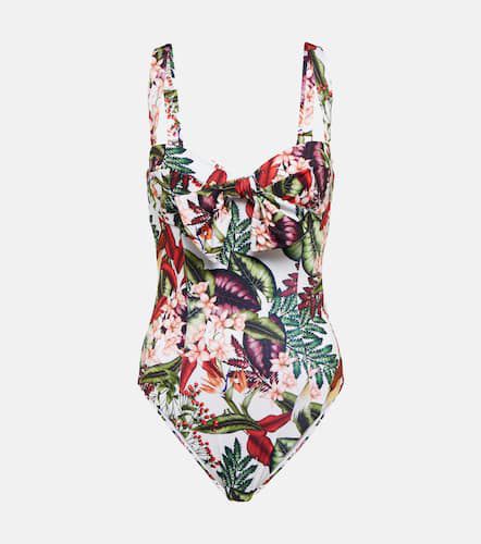 Clara printed swimsuit - Alexandra Miro - Modalova