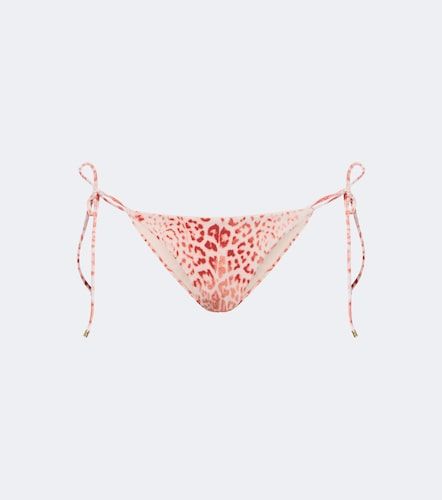Braga de bikini estampada - Roberto Cavalli - Modalova