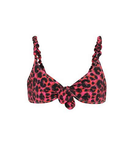 Luca leopard-print bikini top - Reina Olga - Modalova