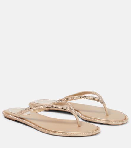 Diana embellished satin thong sandals - Rene Caovilla - Modalova