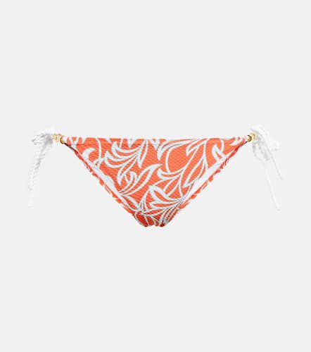 Slip bikini Coral Gardens - Heidi Klein - Modalova