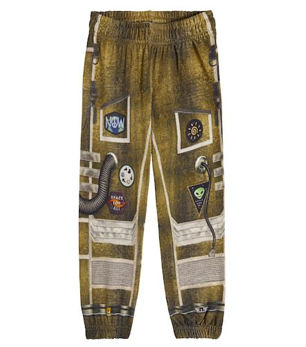 Molo Am printed cotton sweatpants - Molo - Modalova