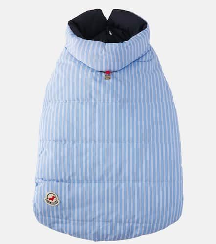 Poldo Dog Couture Mantel für Hunde - Moncler - Modalova