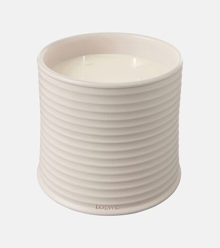 Vela aromática Oregano grande - Loewe Home Scents - Modalova
