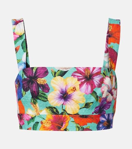 Dolce&Gabbana Cropped-Top - Dolce&Gabbana - Modalova