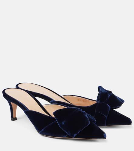 Bow-detail velvet mules - Gianvito Rossi - Modalova