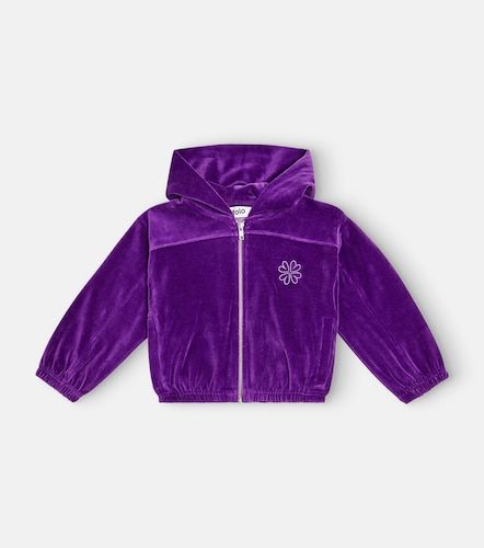 Sudadera Madeleine en mezcla de algodón - Molo - Modalova