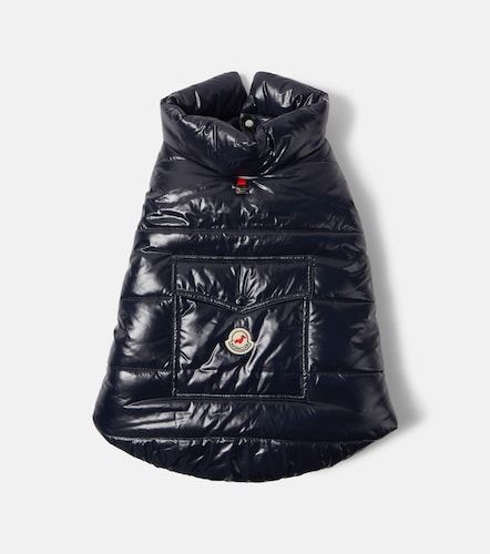Abrigo para perro Poldo Dog Couture - Moncler - Modalova