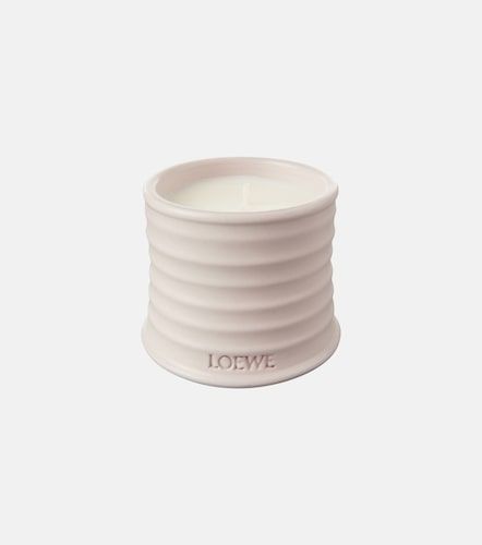 Candela profumata Oregano piccola - Loewe Home Scents - Modalova