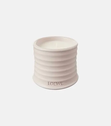 Vela Oregano pequeña - Loewe Home Scents - Modalova