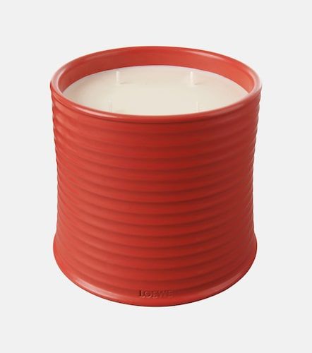 Vela Tomato Leaves grande - Loewe Home Scents - Modalova