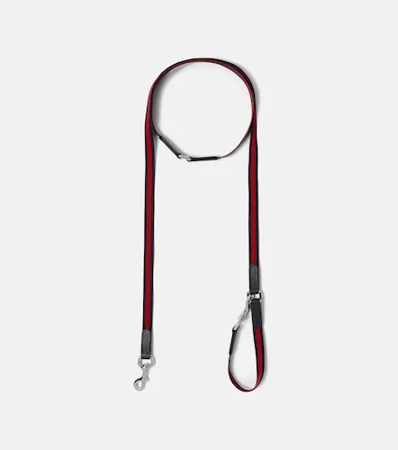 Gucci Correa para perro con Web - Gucci - Modalova