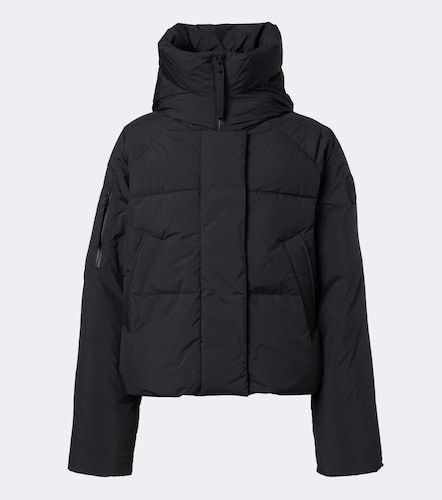 Canada Goose Daunenjacke Chilliwack - Canada Goose - Modalova