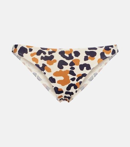 Eres Slip bikini Nautile con stampa - Eres - Modalova