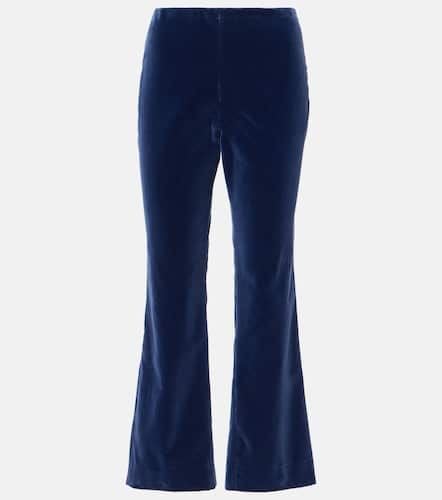 BlazÃ© Milano Jealousy Morelia velvet flared pants - Blaze Milano - Modalova