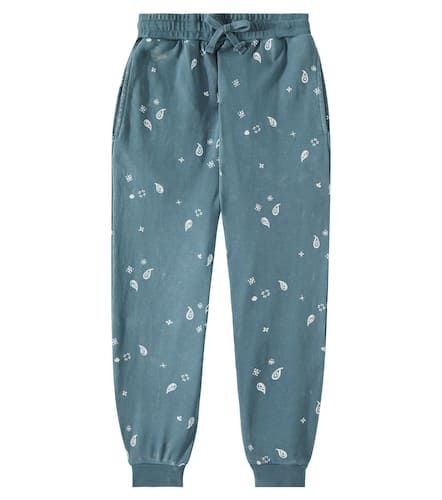 Paisley cotton jersey sweatpants - Rylee + Cru - Modalova