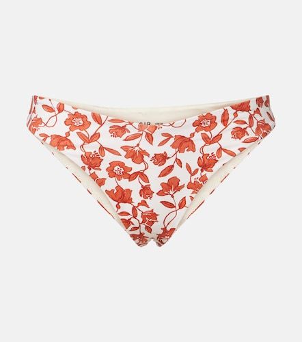 Slip bikini Chloe con stampa floreale - SIR - Modalova