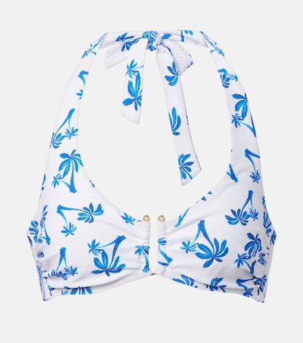 Palm Beach printed bikini top - Heidi Klein - Modalova