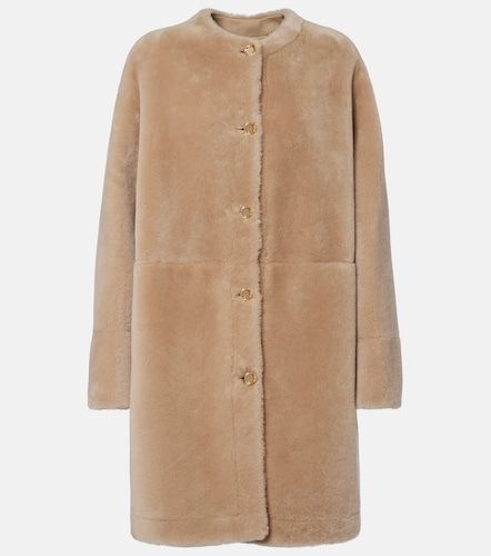 Agnona Jacke aus Shearling - Agnona - Modalova