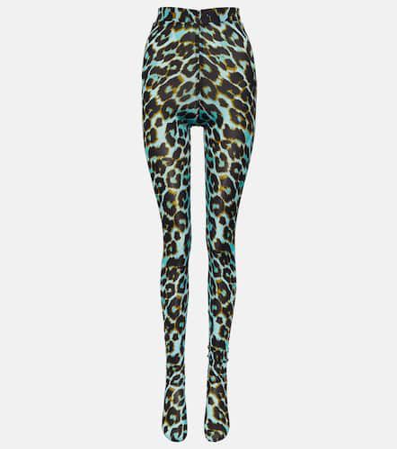 Cadie leopard-print tights - Alex Perry - Modalova